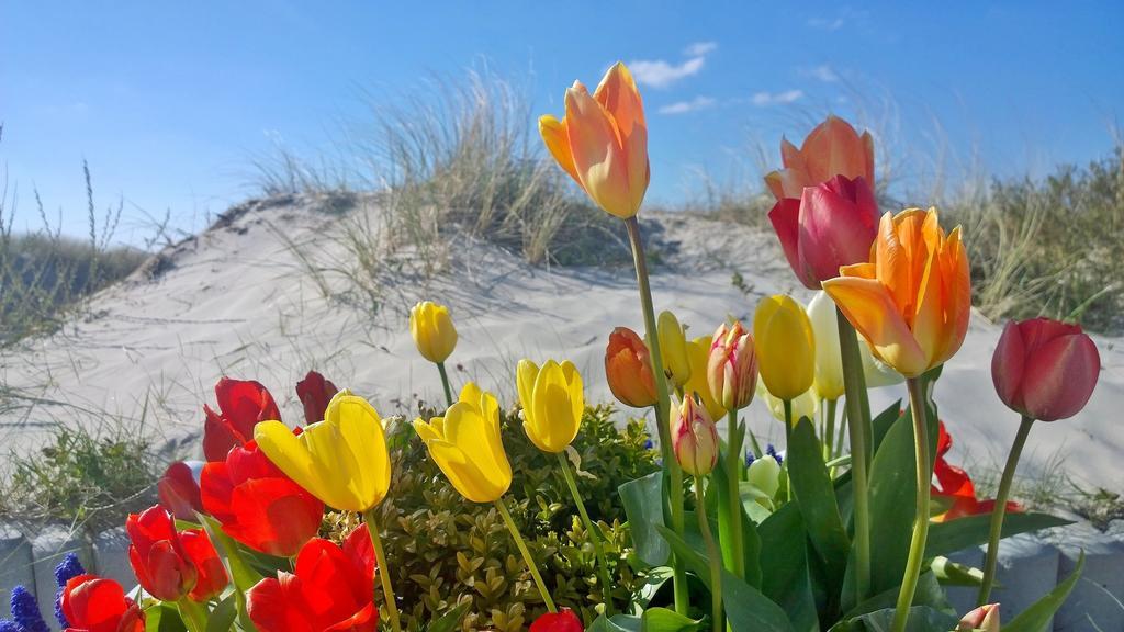 Ostsee Ferienappartements Dierhagen-Strand Klein & Fein Zewnętrze zdjęcie