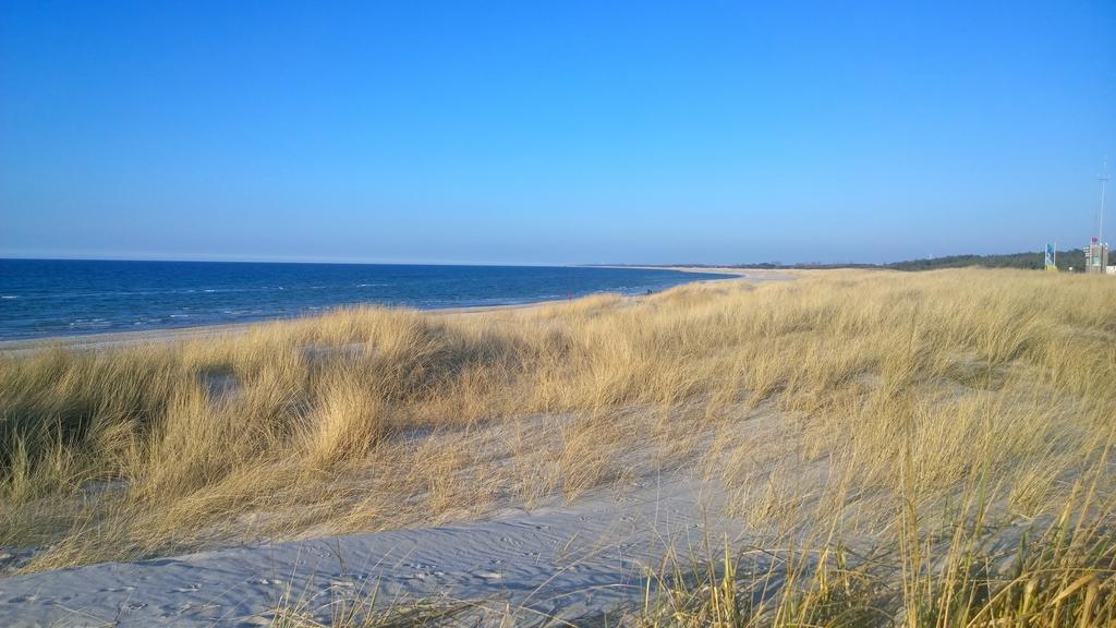 Ostsee Ferienappartements Dierhagen-Strand Klein & Fein Zewnętrze zdjęcie